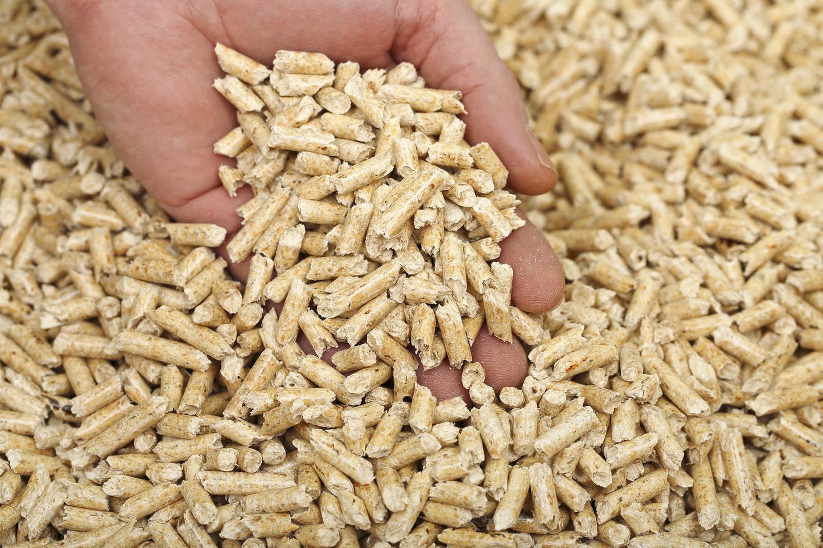 Pellets ENplus 100% résineux en vrac 1 to